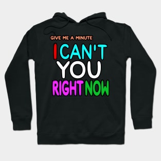 Give Me A Minute - I Can't You Right Now - Front Hoodie